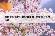 河北竞价账户托管公司推荐  竞价账户托管收费