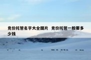 竞价托管名字大全图片  竞价托管一般要多少钱
