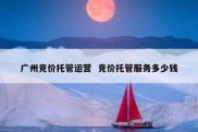 广州竞价托管运营  竞价托管服务多少钱