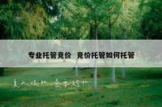 专业托管竞价  竞价托管如何托管