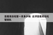 百度竞价托管一月多少钱  云浮百度竞价托管团队