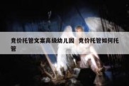 竞价托管文案高级幼儿园  竞价托管如何托管