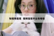 知视频变现  视频变现平台有哪些