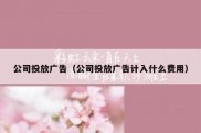 公司投放广告（公司投放广告计入什么费用）