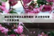 湖北竞价托管怎么做效果好  武汉竞价托管一个月多少钱
