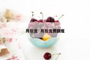 月引流  月引流费额度