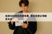龙岗SEM竞价托管效果  竞价托管公司联系方式
