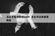 怎么才能涨粉到1000  怎么可以快速涨粉丝
