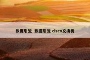 数据引流  数据引流 cisco交换机