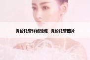 竞价托管详细流程  竞价托管图片