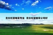 竞价托管哪家专业  竞价托管哪家公司好