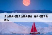 竞价服务托管竞价服务服务  竞价托管专业团队