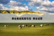 黑谷美业拓客引流  黑谷运营