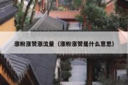 涨粉涨赞涨流量（涨粉涨赞是什么意思）