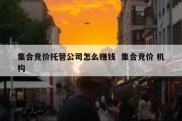 集合竞价托管公司怎么赚钱  集合竞价 机构