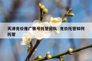 天津竞价推广账号托管团队  竞价托管如何托管