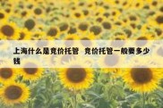 上海什么是竞价托管  竞价托管一般要多少钱