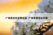 广州竞价代运营托管  广州车牌竞价代理