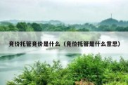 竞价托管竞价是什么（竞价托管是什么意思）