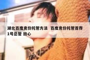 湖北百度竞价托管方法  百度竞价托管首荐1号总管 放心