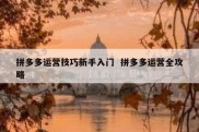 拼多多运营技巧新手入门  拼多多运营全攻略