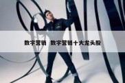 数字营销  数字营销十大龙头股