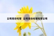 公司竞价托管  公司竞价托管托管公司