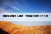 微信视频号怎么盈利（微信视频号怎么开小店）