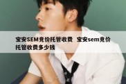 宝安SEM竞价托管收费  宝安sem竞价托管收费多少钱