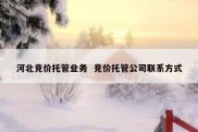 河北竞价托管业务  竞价托管公司联系方式