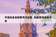 平湖抖音自助账号代运营  抖音账号自助平台