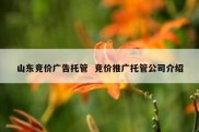 山东竞价广告托管  竞价推广托管公司介绍