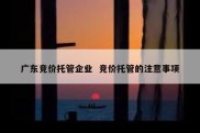 广东竞价托管企业  竞价托管的注意事项