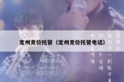 定州竞价托管（定州竞价托管电话）