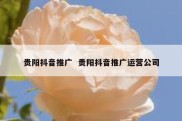贵阳抖音推广  贵阳抖音推广运营公司