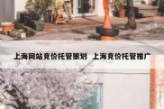 上海网站竞价托管策划  上海竞价托管推广