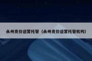 永州竞价运营托管（永州竞价运营托管机构）