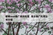 邯郸sem推广竞价托管  竞价推广托管公司介绍