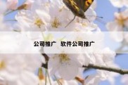 公司推广  软件公司推广