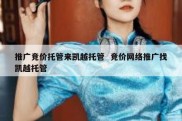 推广竞价托管来凯越托管  竞价网络推广找凯越托管
