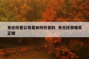 竞价托管公司是如何托管的  竞价托管哪家正规