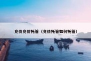竞价竞价托管（竞价托管如何托管）