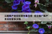 江西账户竞价托管效果怎样  竞价推广账户竞价托管多少钱