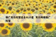 推广竞价托管适合火25星  竞价网络推广托管