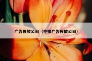 广告投放公司（电梯广告投放公司）