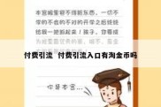 付费引流  付费引流入口有淘金币吗