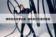 搜狗竞价托管价格  搜狗竞价托管价格表