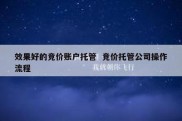 效果好的竞价账户托管  竞价托管公司操作流程
