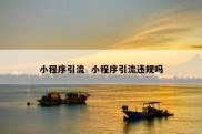 小程序引流  小程序引流违规吗