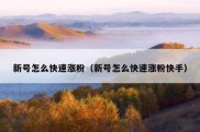 新号怎么快速涨粉（新号怎么快速涨粉快手）